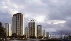 <b>营销总监亲述：首付十几万月供1000！正在南京实</b>